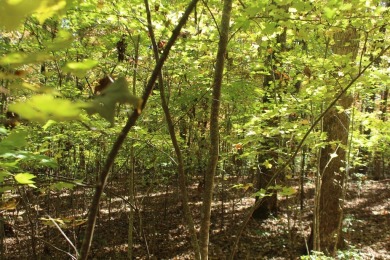 This  beautiful lot in a great neighborhood is an ideal on Chatuge Shores Golf Course in North Carolina - for sale on GolfHomes.com, golf home, golf lot