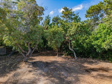 Rarely available land lot available for purchase in the seaside on Mauna Lani Resort Golf Course in Hawaii - for sale on GolfHomes.com, golf home, golf lot