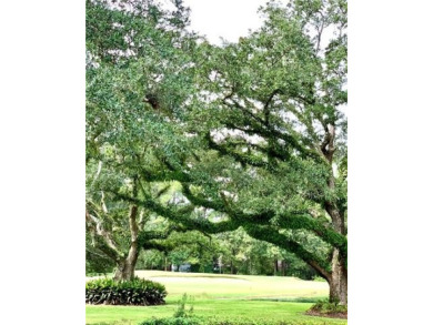 ESTATE size GOLF COURSE LOT with majestic oaks & pond views in on Tchefuncta Country Club in Louisiana - for sale on GolfHomes.com, golf home, golf lot
