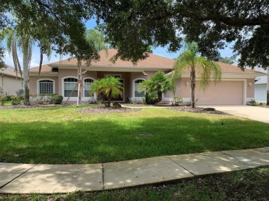 Stunning Golf Course Pool Home in Grand Haven

Welcome to this on Grand Haven Golf Club in Florida - for sale on GolfHomes.com, golf home, golf lot