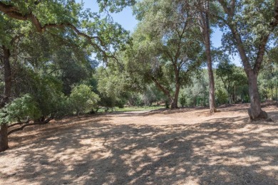 A great over sized corner lot with a gentle down slope. A on Greenhorn Creek Resort in California - for sale on GolfHomes.com, golf home, golf lot