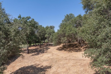 A great over sized corner lot with a gentle down slope. A on Greenhorn Creek Resort in California - for sale on GolfHomes.com, golf home, golf lot