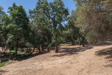 A great over sized corner lot with a gentle down slope. A on Greenhorn Creek Resort in California - for sale on GolfHomes.com, golf home, golf lot