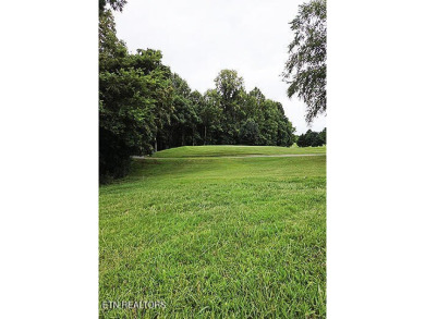 This 0.34-acre lot offers stunning views of the Smoky Mountains on Rarity Bay Country Club - Loudon in Tennessee - for sale on GolfHomes.com, golf home, golf lot