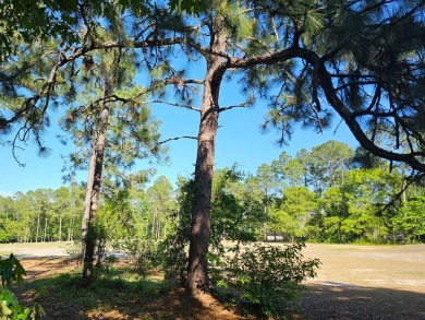 Large (0.78) golf course home site with a mixture of mature on The Golf Club At Cedar Creek in South Carolina - for sale on GolfHomes.com, golf home, golf lot