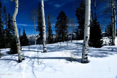 Set amongst the beautiful surroundings of the Summit of on Club At Cordillera Summit Course in Colorado - for sale on GolfHomes.com, golf home, golf lot
