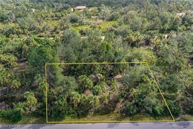 Build your Florida dream home on this ~10,000 sq ft / 0.23 ac on Sabal Trace Golf and Country Club in Florida - for sale on GolfHomes.com, golf home, golf lot