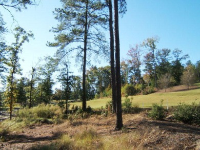 Golf Course Lot in The Reserve at Woodside

Build your dream on The Reserve Club At Woodside Plantation in South Carolina - for sale on GolfHomes.com, golf home, golf lot