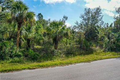 Build your Florida dream home on this ~10,000 sq ft / 0.23 ac on Sabal Trace Golf and Country Club in Florida - for sale on GolfHomes.com, golf home, golf lot