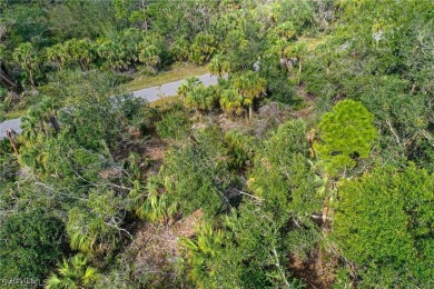Build your Florida dream home on this ~10,000 sq ft / 0.23 ac on Sabal Trace Golf and Country Club in Florida - for sale on GolfHomes.com, golf home, golf lot