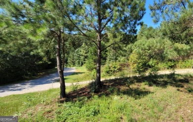 Welcome to 915 N Edgewater Trail-an exceptional homesite in the on Currahee Golf Club in Georgia - for sale on GolfHomes.com, golf home, golf lot