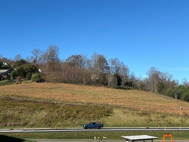 Conveniently located between Hayesville, NC, and Hiawassee, GA on Chatuge Shores Golf Course in North Carolina - for sale on GolfHomes.com, golf home, golf lot