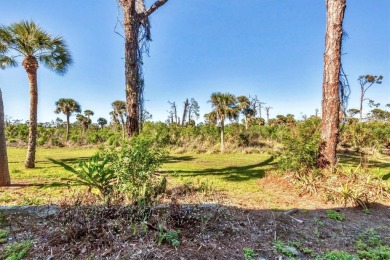 Welcome to this quiet community at Sanctuary at Golden Tee on Rotonda Golf and Country Club The Hills Course in Florida - for sale on GolfHomes.com, golf home, golf lot