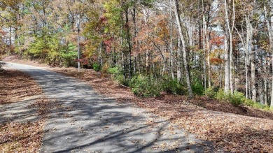 This picturesque 1.22-acre lot offers beautiful views of the on White Path Golf Club in Georgia - for sale on GolfHomes.com, golf home, golf lot