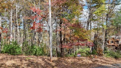 This picturesque 1.22-acre lot offers beautiful views of the on White Path Golf Club in Georgia - for sale on GolfHomes.com, golf home, golf lot