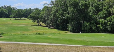 **PRICE IMPROVEMENT!!**Enjoy a little slice of paradise in this on The Golf Club of Ocala in Florida - for sale on GolfHomes.com, golf home, golf lot