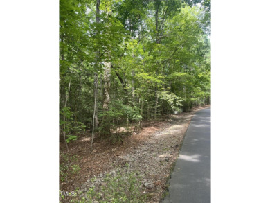 This large 0.53-acre lot in the sought-after South Landing on Carolina Trace Country Club in North Carolina - for sale on GolfHomes.com, golf home, golf lot