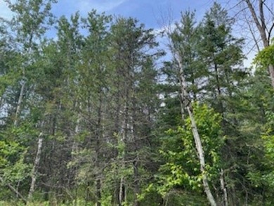 Wildlife among the mixed variety of trees and evergreens, this on Idlewild Golf Course in Wisconsin - for sale on GolfHomes.com, golf home, golf lot