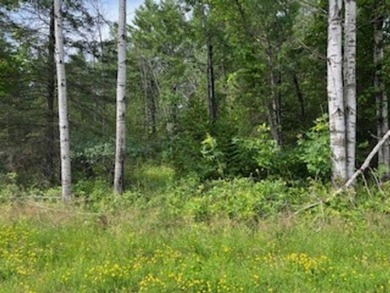 Wildlife among the mixed variety of trees and evergreens, this on Idlewild Golf Course in Wisconsin - for sale on GolfHomes.com, golf home, golf lot