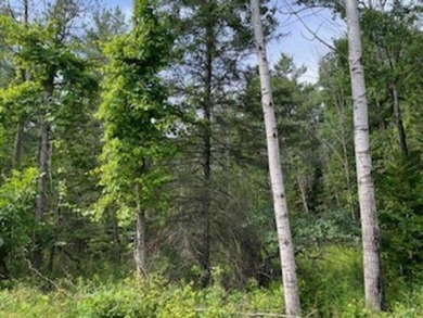Wildlife among the mixed variety of trees and evergreens, this on Idlewild Golf Course in Wisconsin - for sale on GolfHomes.com, golf home, golf lot