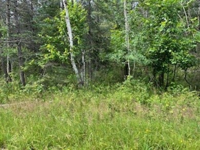 Wildlife among the mixed variety of trees and evergreens, this on Idlewild Golf Course in Wisconsin - for sale on GolfHomes.com, golf home, golf lot