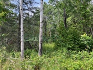 Wildlife among the mixed variety of trees and evergreens, this on Idlewild Golf Course in Wisconsin - for sale on GolfHomes.com, golf home, golf lot