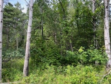 Wildlife among the mixed variety of trees and evergreens, this on Idlewild Golf Course in Wisconsin - for sale on GolfHomes.com, golf home, golf lot