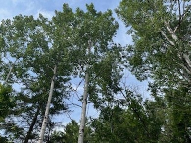 Wildlife among the mixed variety of trees and evergreens, this on Idlewild Golf Course in Wisconsin - for sale on GolfHomes.com, golf home, golf lot