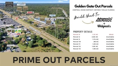 Multiple outparcel Opportunity in an emerging market North of on Twisted Oaks Golf Club in Florida - for sale on GolfHomes.com, golf home, golf lot