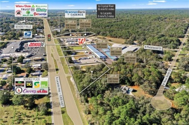 Multiple outparcel Opportunity in an emerging market North of on Twisted Oaks Golf Club in Florida - for sale on GolfHomes.com, golf home, golf lot