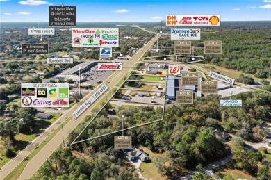 Multiple outparcel Opportunity in an emerging market North of on Black Diamond Ranch Golf Course in Florida - for sale on GolfHomes.com, golf home, golf lot