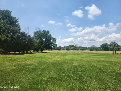 Expansive open views of Lions Paw #13 fairway and pond from this on Ocean Ridge Plantation in North Carolina - for sale on GolfHomes.com, golf home, golf lot