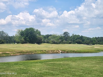 Expansive open views of Lions Paw #13 fairway and pond from this on Ocean Ridge Plantation in North Carolina - for sale on GolfHomes.com, golf home, golf lot