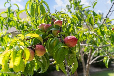 Stunning home on an oversized lot in the highly desirable on Compass Pointe Golf Course in North Carolina - for sale on GolfHomes.com, golf home, golf lot