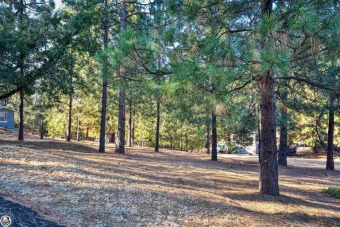 Nice double lot (0.532 Acre) in a quiet neighborhood. Gentle on Pine Mountain Lake Country Club in California - for sale on GolfHomes.com, golf home, golf lot