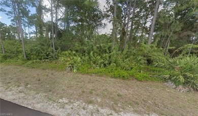 Build your dream home on this vacant residential lot located in on Mirror Lakes Golf Club in Florida - for sale on GolfHomes.com, golf home, golf lot
