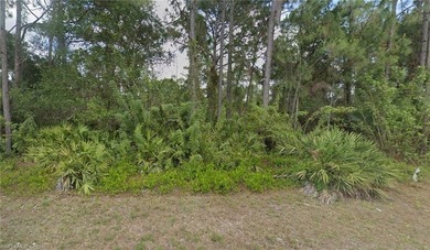 Build your dream home on this vacant residential lot located in on Mirror Lakes Golf Club in Florida - for sale on GolfHomes.com, golf home, golf lot