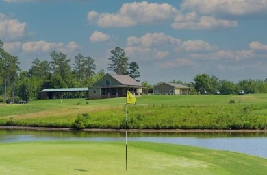 Elegant 3-Story Home with Finished Walk-Out Basement in the on Bartram Trail Golf Club in Georgia - for sale on GolfHomes.com, golf home, golf lot