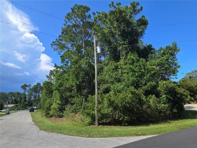 Oversized Corner Lot in Desirable Pine Lakes Neighborhood! - on The Grand Club - Pine Lakes Course in Florida - for sale on GolfHomes.com, golf home, golf lot