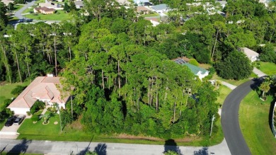 Oversized Corner Lot in Desirable Pine Lakes Neighborhood! - on The Grand Club - Pine Lakes Course in Florida - for sale on GolfHomes.com, golf home, golf lot