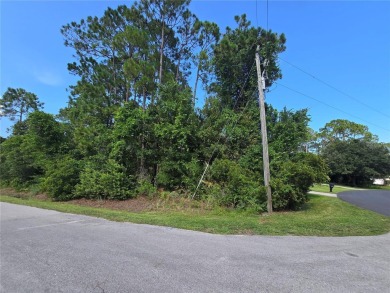 Oversized Corner Lot in Desirable Pine Lakes Neighborhood! - on The Grand Club - Pine Lakes Course in Florida - for sale on GolfHomes.com, golf home, golf lot