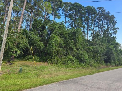 Oversized Corner Lot in Desirable Pine Lakes Neighborhood! - on The Grand Club - Pine Lakes Course in Florida - for sale on GolfHomes.com, golf home, golf lot