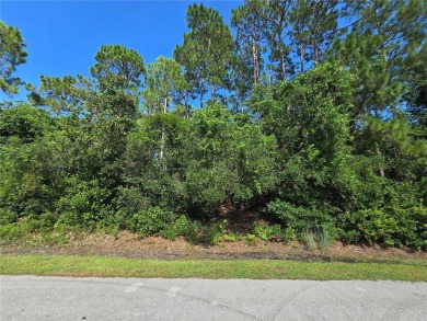 Oversized Corner Lot in Desirable Pine Lakes Neighborhood! - on The Grand Club - Pine Lakes Course in Florida - for sale on GolfHomes.com, golf home, golf lot