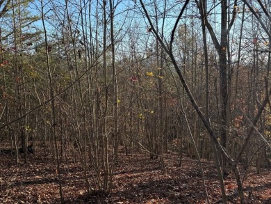 Experience the beauty of this picturesque 1.33-acre lot with on Chatuge Shores Golf Course in North Carolina - for sale on GolfHomes.com, golf home, golf lot