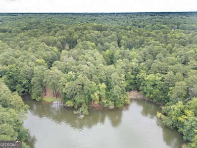 Gorgeous year-round water view lot located in Turtle Cove. Enjoy on Turtle Cove Golf Course in Georgia - for sale on GolfHomes.com, golf home, golf lot