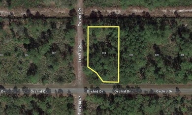 Come build your forever home on this one-half acre corner lot on Indian Lake Estates Golf and Country Club in Florida - for sale on GolfHomes.com, golf home, golf lot