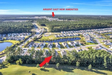 Thinking of perfect? Wishing for a Move In Ready home? AND on Argent Lakes Golf Course in South Carolina - for sale on GolfHomes.com, golf home, golf lot