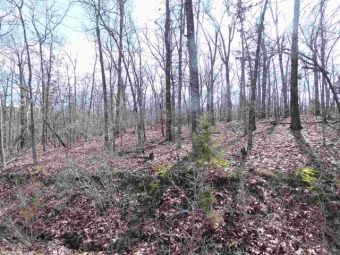 5 Acre undeveloped golf course lot. On the Cherokee Village on Cherokee Village South Course in Arkansas - for sale on GolfHomes.com, golf home, golf lot