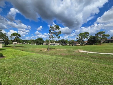 SELLER PROMO ON THIS HOME- UP TO $20,000.00 FLEX MONEY THAT CAN on Twisted Oaks Golf Club in Florida - for sale on GolfHomes.com, golf home, golf lot