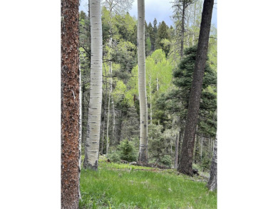 With soaring views, this parcel has all fauna of the forest on on Angel Fire Resort Country Club in New Mexico - for sale on GolfHomes.com, golf home, golf lot